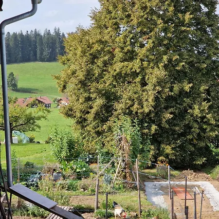Apartment Der Perfekte Ausgangspunkt Weiler-Simmerberg